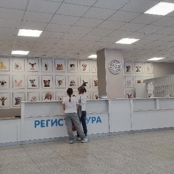 Детский консультативно-диагностический центр, фотография 3